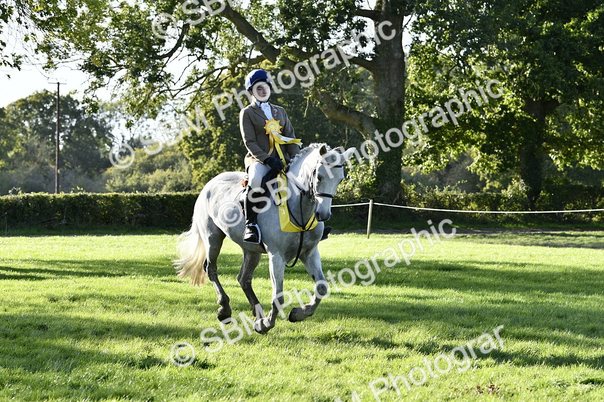 SBM_52283 - S35 - Working Hunter & Working Show Horse