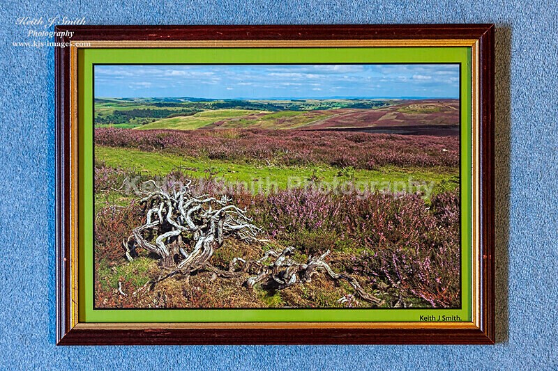 0SKJ9326 - Mounted prints for sale.