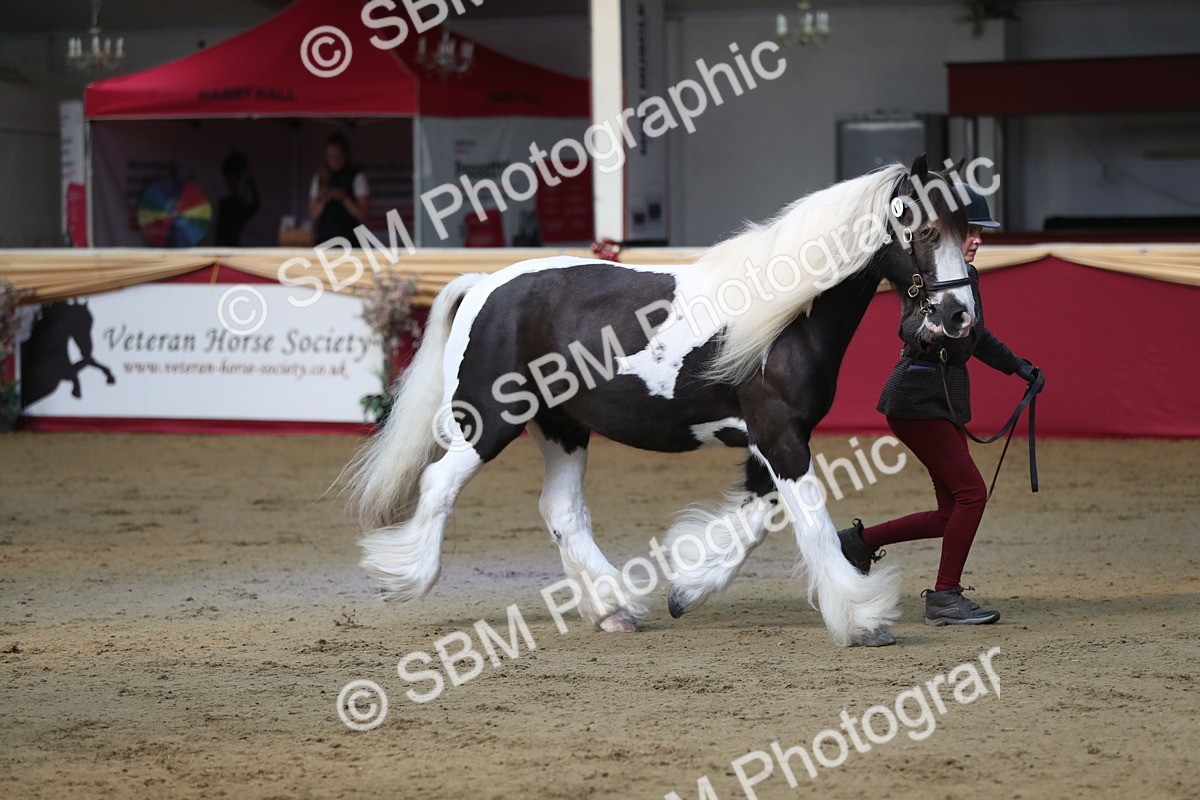 SBM_01357 - Class 3a Area IH Pre Vet