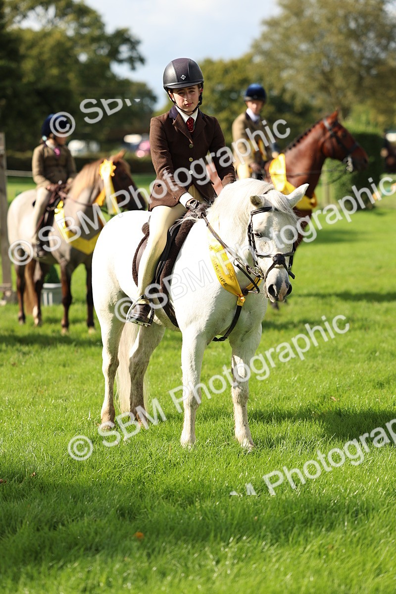 SBM_46365 - Working Hunter Pony Supreme Championship