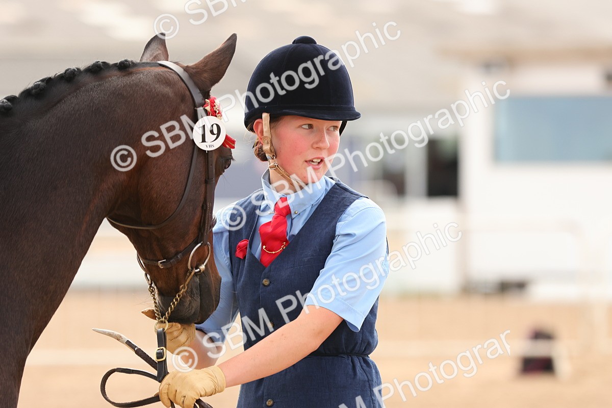 SBM_10204 - Class 205 - IH Show Pony - Show Hunter Pony