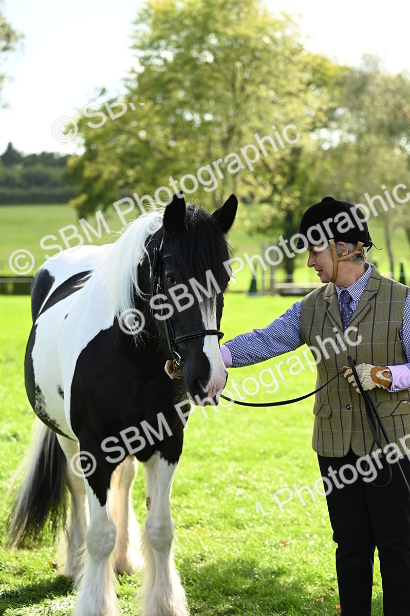 SBM_24992 - S5 - Novice & Newcomer In hand