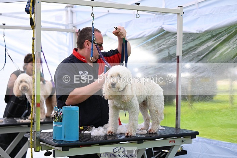 240525-114614-12604 - Candid and Saturday Hobby Horse