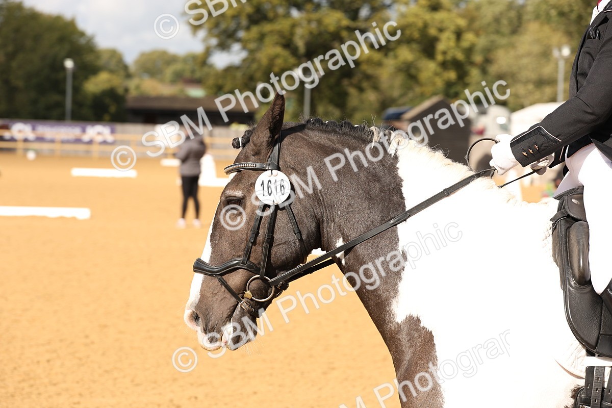 SBM_24680 - D17 - Grand Tour Championship Novice 3
