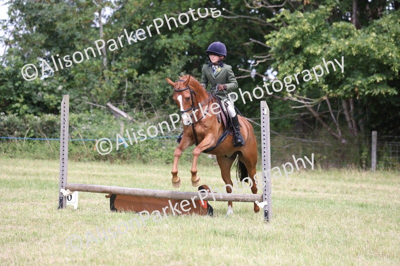 20260614-1854 - Class 21 - Novice Working Hunter Pony