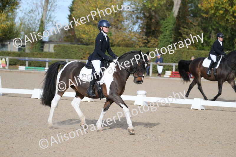 20261011-0244 - Class 4 - Novice 6