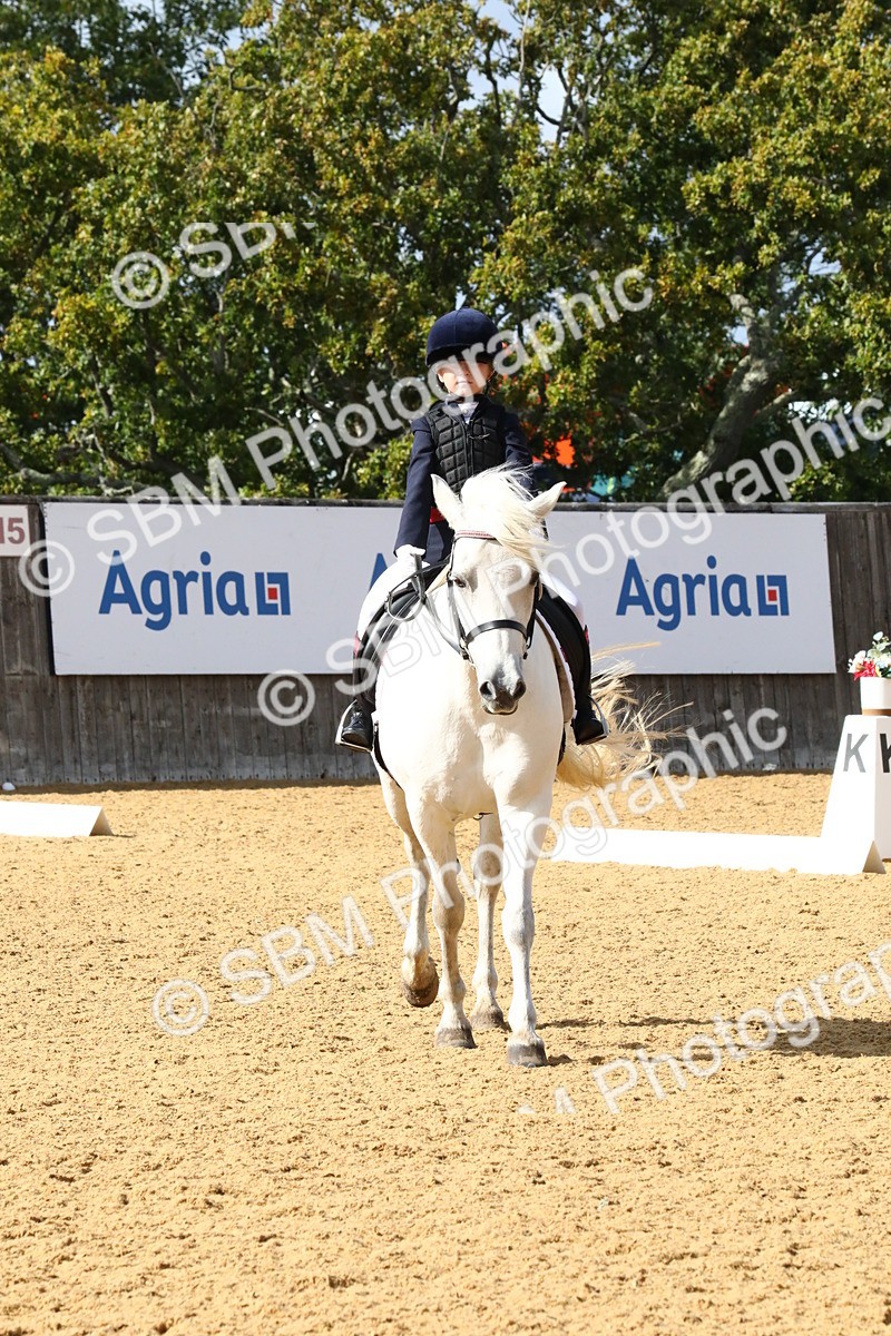 SBM_24424 - D5 - Small Tour Championshop Intro 2