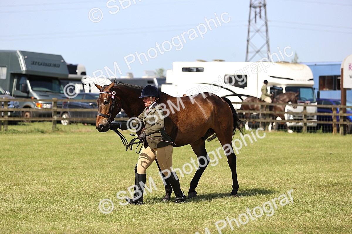 SBM_13029 - Class 75-76 LIHS BSHA Rising Star Hack Riding Horse