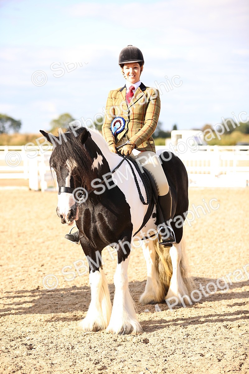 SBM_18281 - Class 423 - Equitation (best rider) Adult
