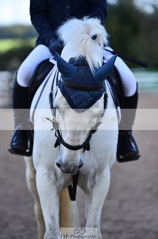 231014A-112808-04042 - Cls 13 85cm Amateur Q 2nd R