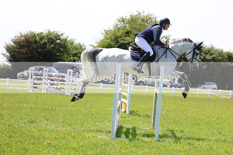 3E7A1287 - Class 12: Senior Foxhunter/1.20 open