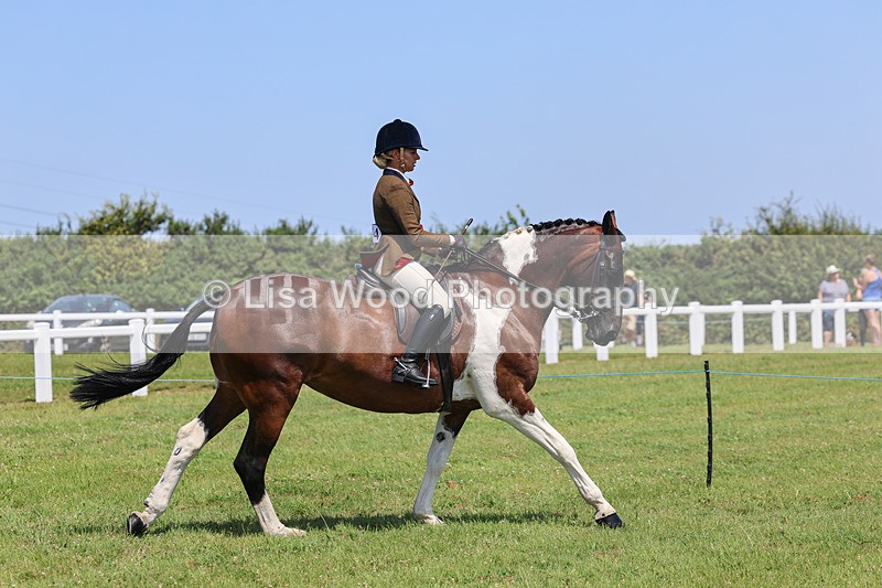IMG_2571 - Class 38: Veteran Ridden