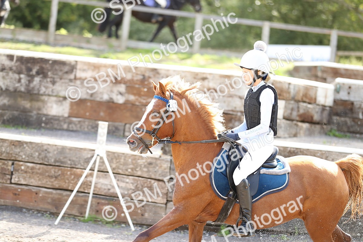 SBM_17243 - E4b - Eventers Challenge 60cm Open