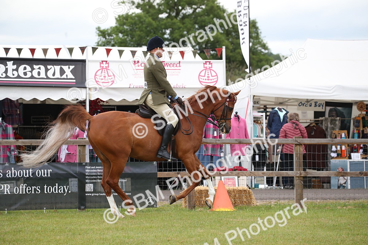 SBM_03661 - Class 21 - 22 - Ridden Arab and Part Bred/Anglo Arab