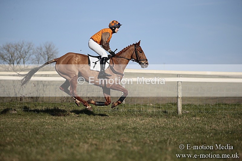 PtP 240218 468 - Vine & Craven Hunt Point-to-Point Barbury racecourse 24/02/18