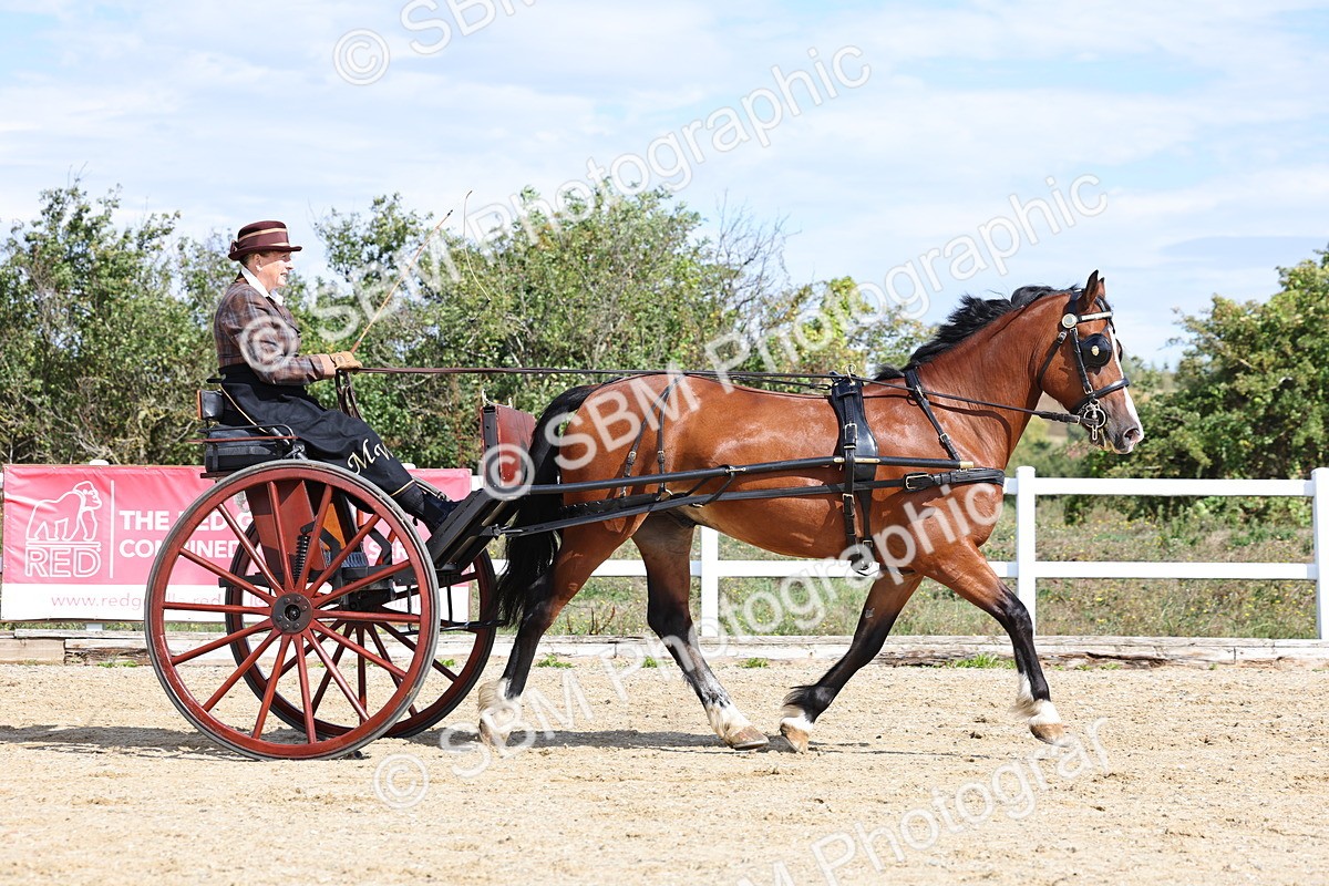 SBM_000884 - Class 8 - Novice Horse or Pony to any vehicle