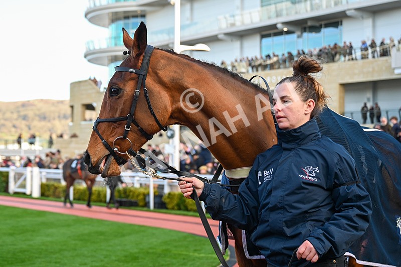 141224-Race 3-Similar Story-0528 - Race 3