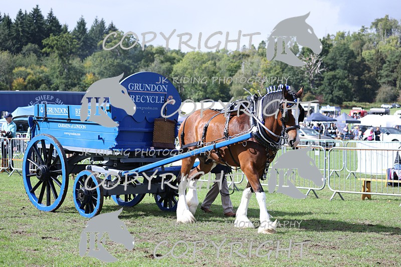 APP_3585 - Class 7 Turnout for a single or pair