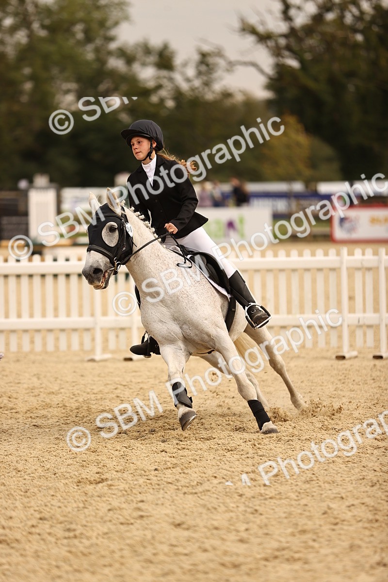 SBM_74384 - J14 - Junior Pony 65cm Championship