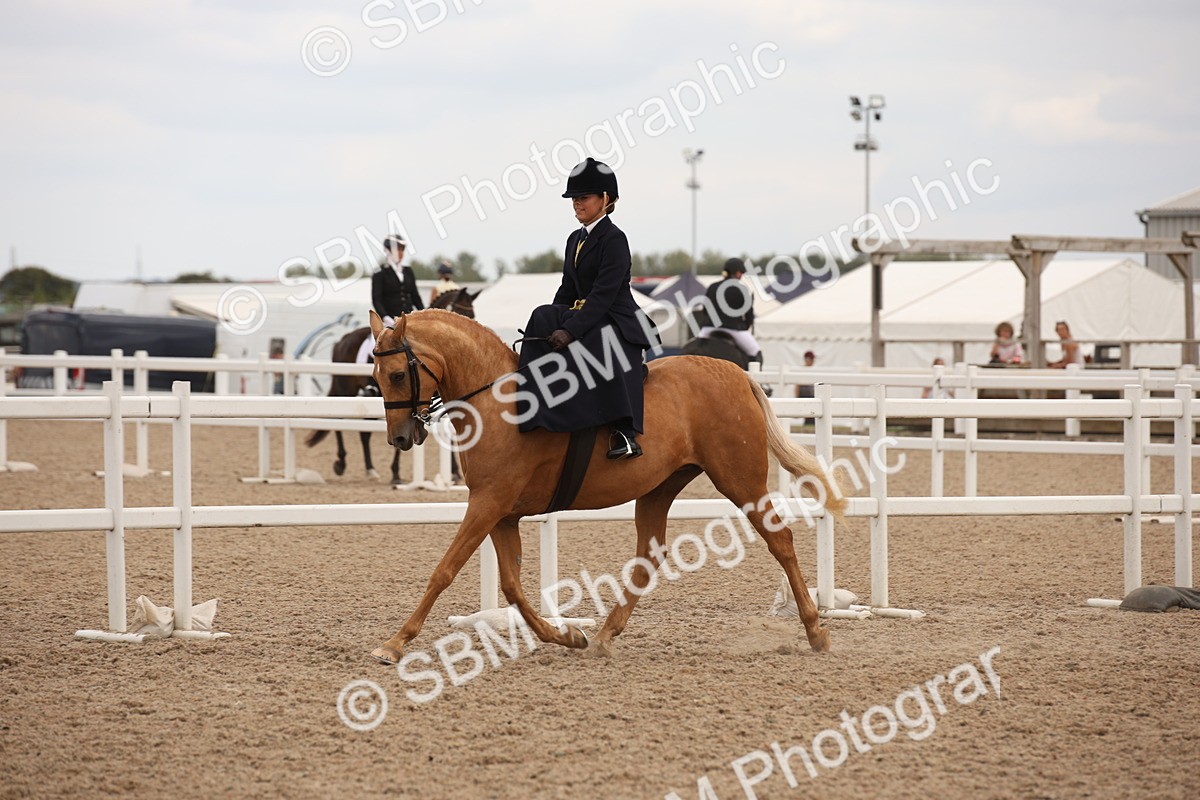 SBM_05370 - Class 22 SSA Equitation