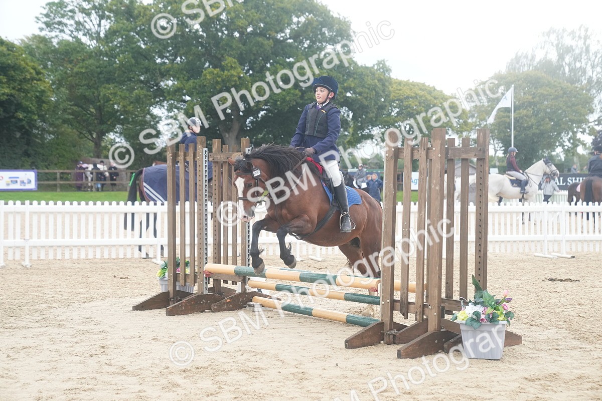 SBM_01893 - J54 - Clear Round 50cm