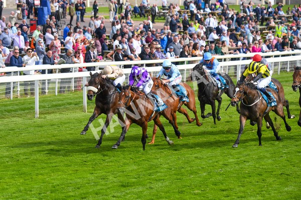 170523-Race 5-Dark Thirty-0691 - Race 5 4.10pm Conundrum HR Consulting Handicap