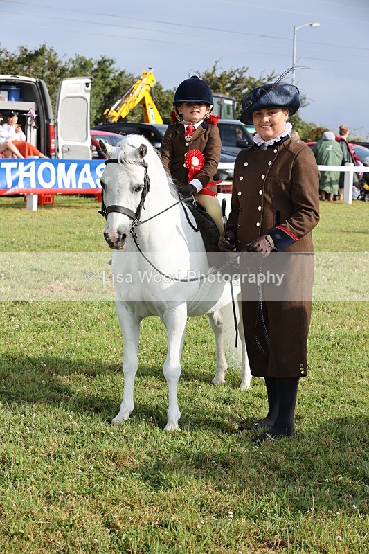 JPP_0442 - Class 14: Cornish Combination Leading Rein