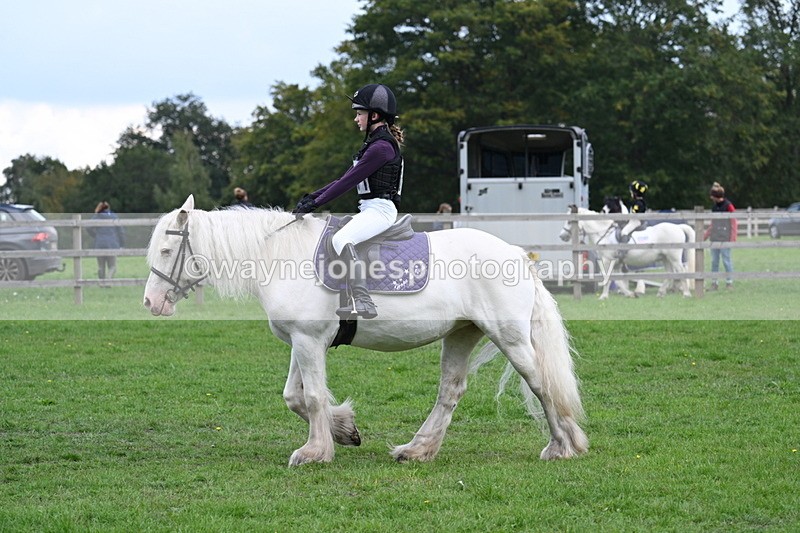 WJ7_4353 - 60cm Time 10:52 to 11:02