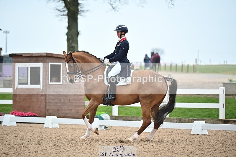 250214-113901-01384 - 156-Alexander.Harrison-Mount.St.John.Diamonds.Are.Forever