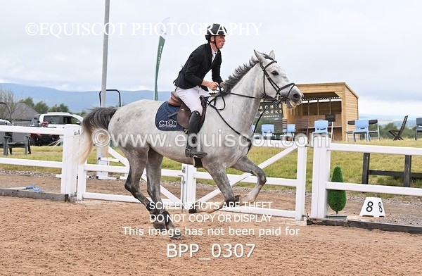BPP_0307 - CLASS 26 SUN 5 Year Old Non Qualifier