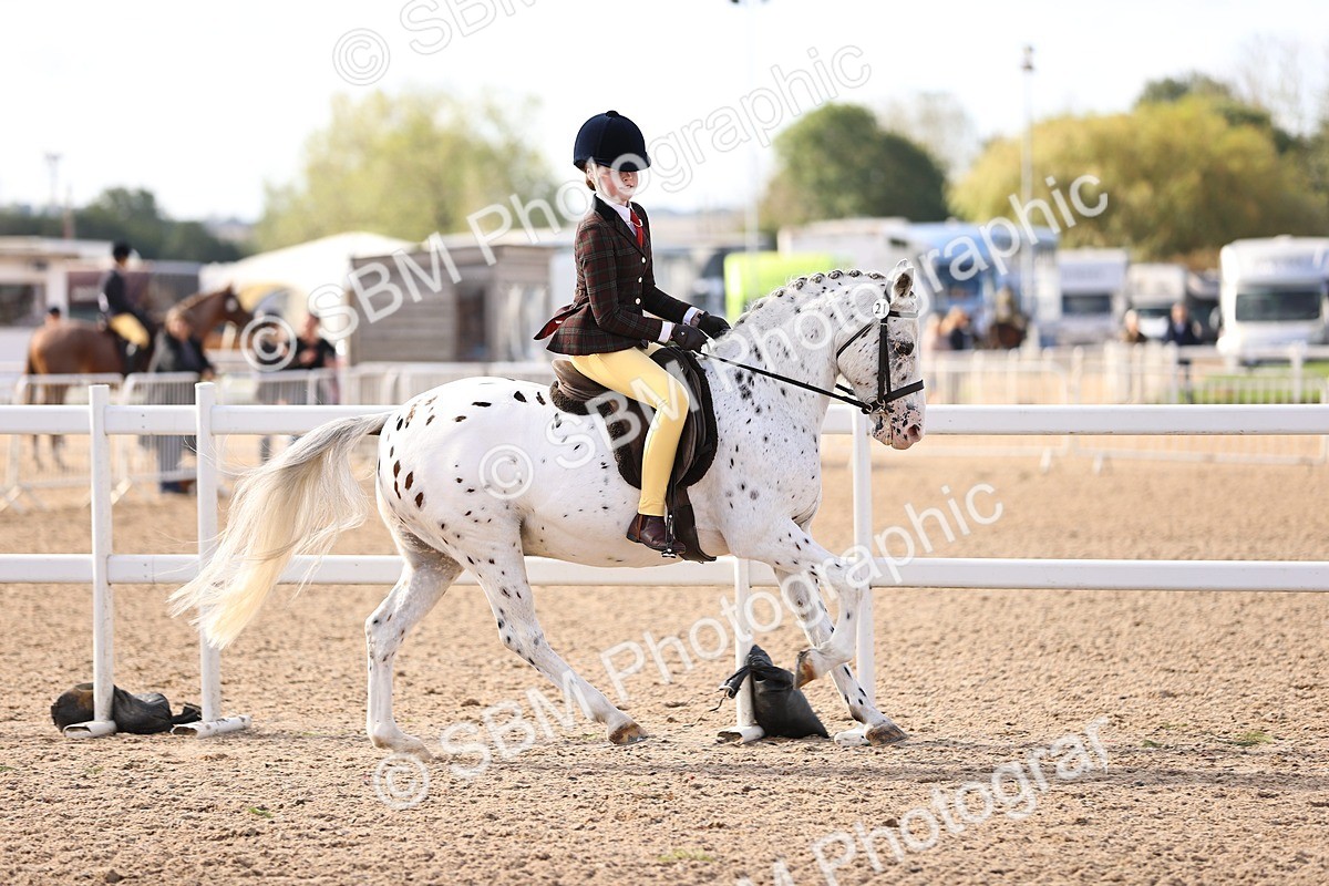 SBM_09022 - Class 403 - Grassroots Ridden - Junior