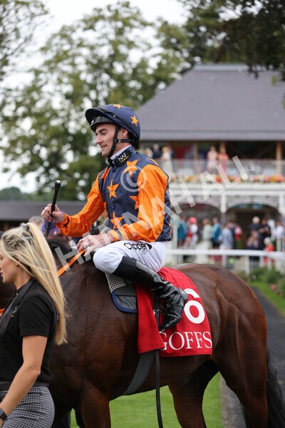 yr19082021r2-39 - Race 2 2.25pm Goffs UK Premier Yearling Stakes