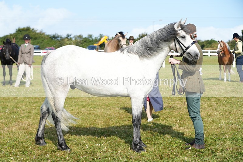 DSC05038 - Class 48: NPS M&M 2/3 year olds