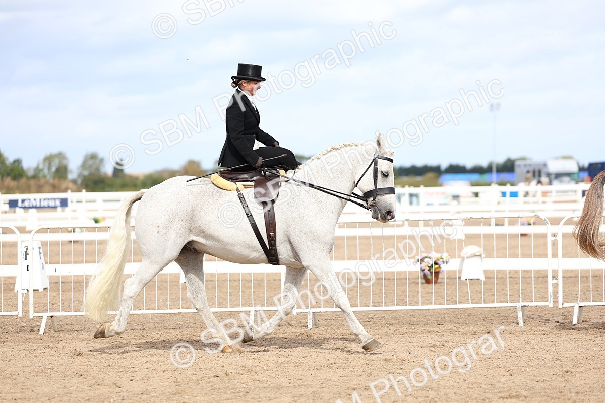 SBM_03286 - Class 22 - SSA Equitation (any age)