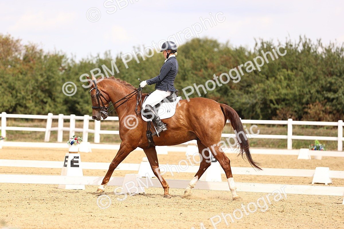 SBM_012999 - Class 2 - Advanced Medium 5 - 10.35-11.55