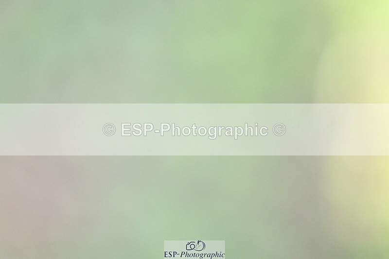 261014-115331-00308 - Cls 04 Senior 1.05m