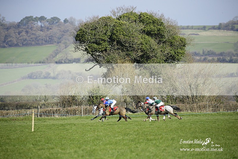 PtP 060322 74 - Blackmore & Sparkford Vale Hunt PtP 06/03/22