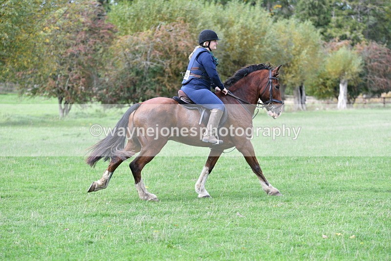 WJ5_0633 - Time 13:59 to 14:28