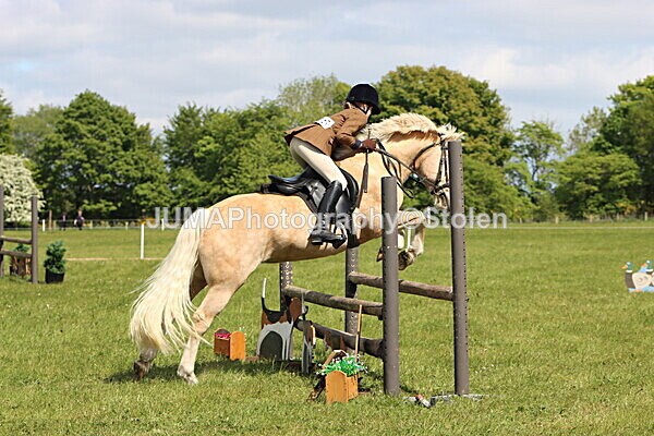 IMG_4247 - Working Hunter