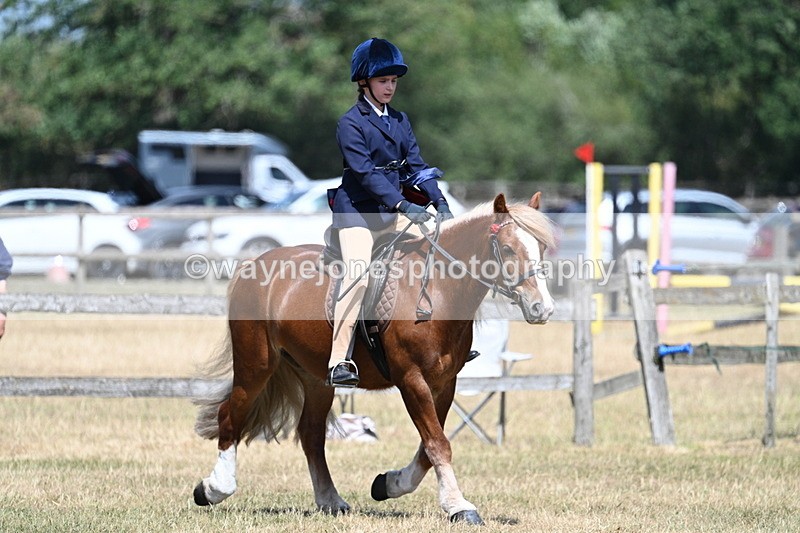 WJ7_3372 - Class 8 Ridden Veterans
