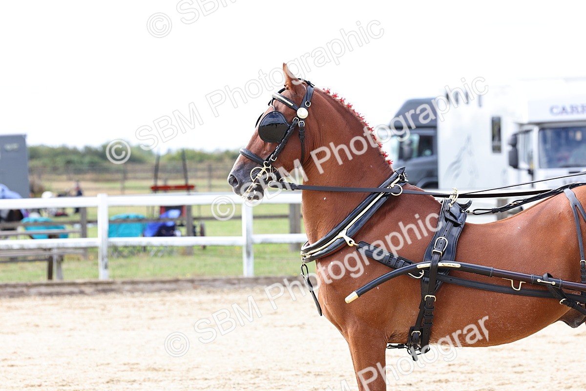 SBM_000491 - Class 4 - Junior Whip