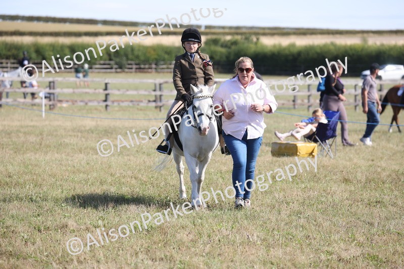 20260906-2262 - Class 16 - Family Pony