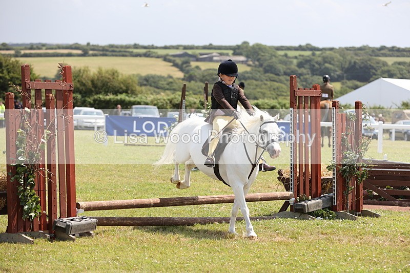 JPP_1843 - Class 18: Tiny Tots Working Hunter Pony