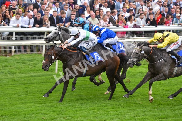 yr21082021r2-24 - Race 2 2.25pm Sky Bet Melrose Stakes