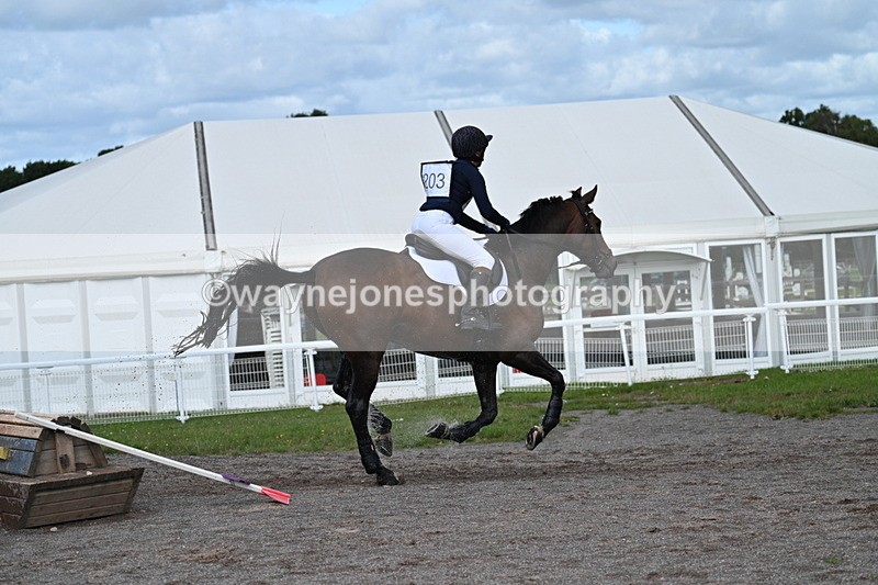 WJ7_0141 - Time 11:02 to 11:34