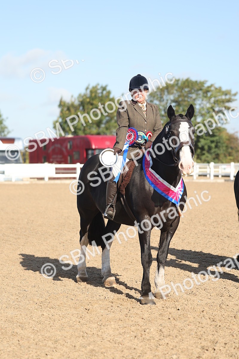 SBM_22234 - Class 802 - Ridden Groom Helpers Class