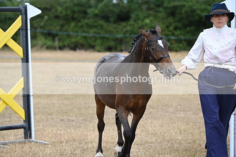 WJ6_8071 - Class 10 Coloured in Hand