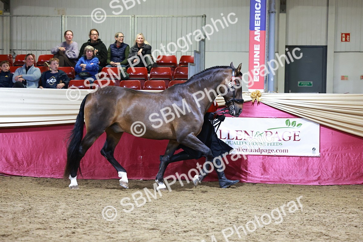 SBM_20676 - Class J - Foreign Breeds Champ