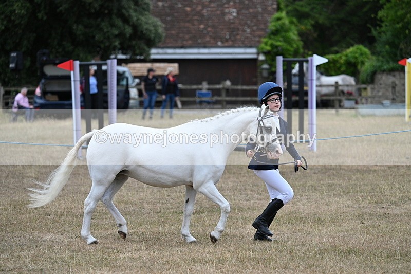 WJ7_8330 - Class 4 Prettiest Mare up to 14.2hh