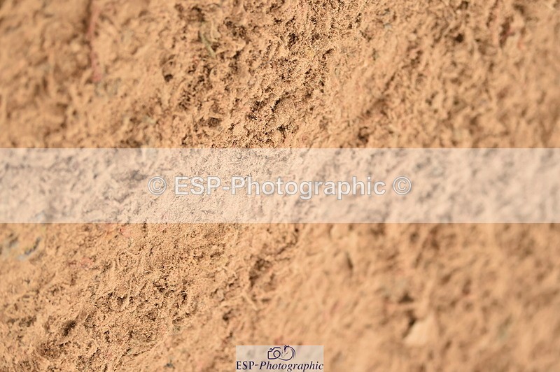 231122A-135622-00558 - Cls 5 Foxhunter & 1.20m Open